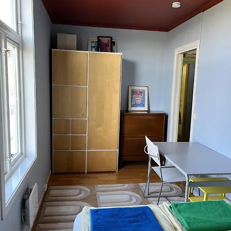 公寓 Colorful 特隆赫姆